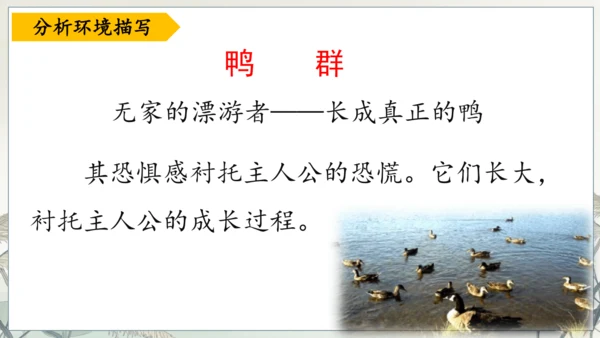 第17课《孤独之旅》课件