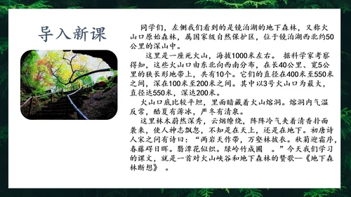 地下森林作家张抗抗作品解读PPT课件