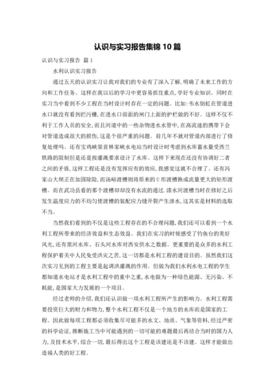 认识与实习报告集锦10篇.docx