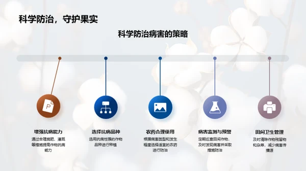 谷雨农事实践指南