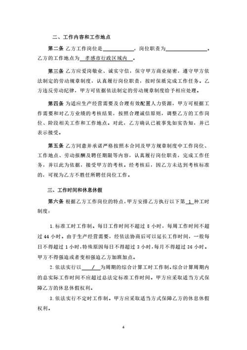湖北有限公司劳动合同（律师拟定详细版）