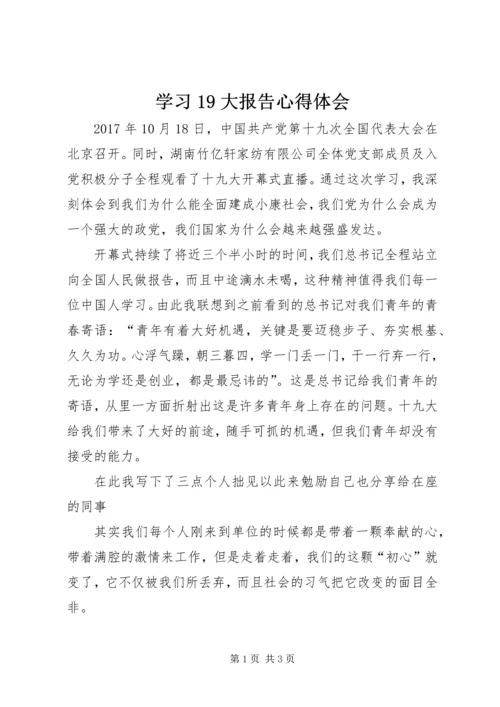 学习19大报告心得体会 (3).docx