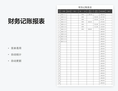 财务记账报表