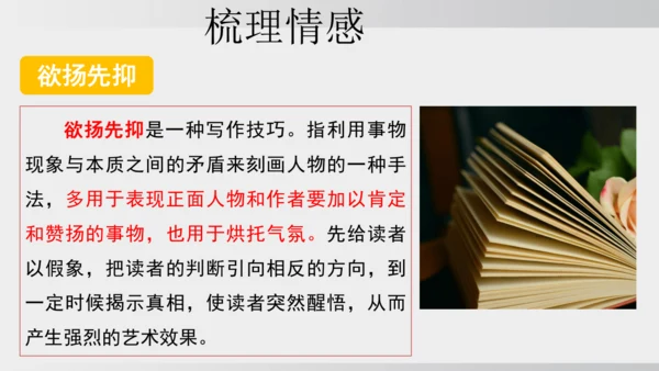 10.阿长与《山海经》 课件