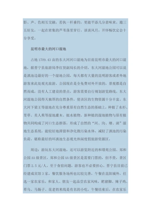 昆明湿地公园.docx