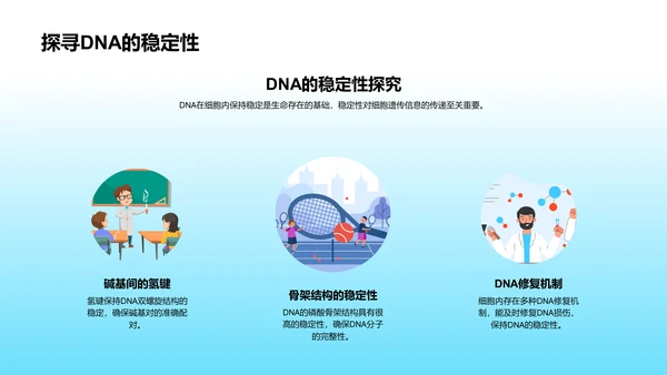 DNA结构与功能讲解PPT模板