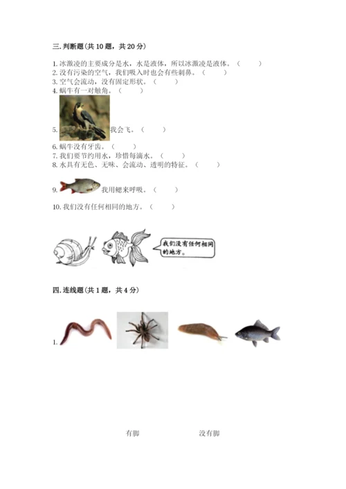 教科版一年级下册科学期末测试卷【名校卷】.docx