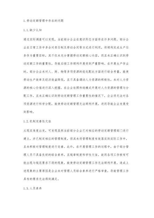 劳动定额管理存在的问题及对策.docx