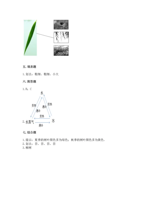 教科版科学一年级上册第一单元《植物》测试卷及完整答案一套.docx