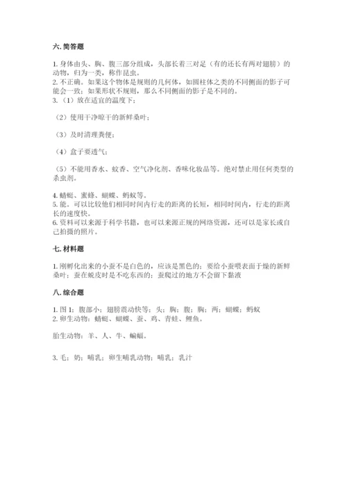 教科版科学三年级下册 期末测试卷审定版.docx