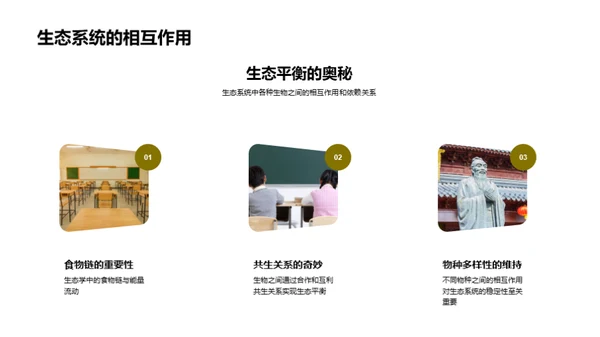 自然世界的奥秘