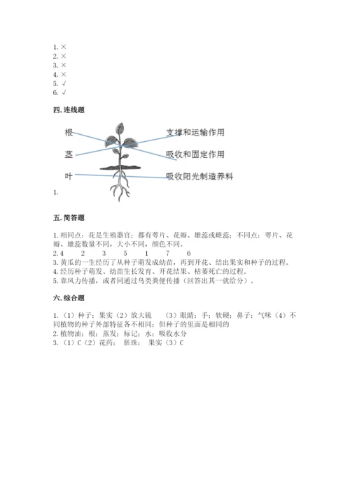 科学四年级下册第一单元植物的生长变化测试卷word版.docx