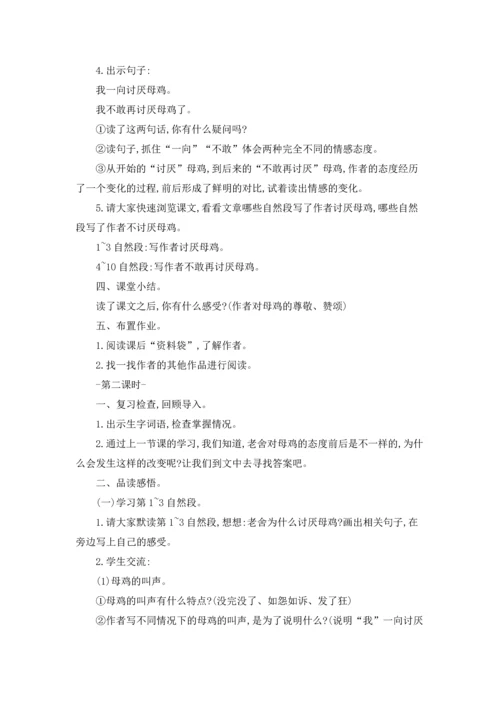 有关母鸡教案集合10篇.docx