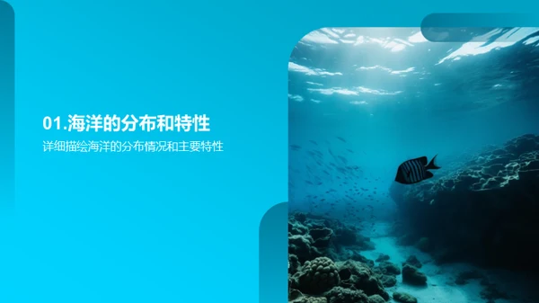 海洋秘境