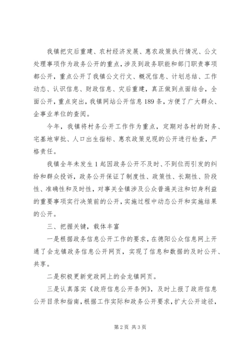 乡镇年度政务信息公开工作自查总结.docx