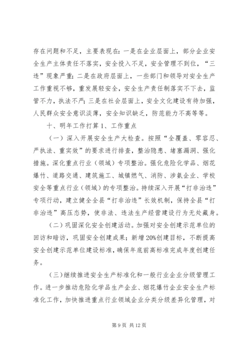 安全生产监督管理局工作汇报 (10).docx