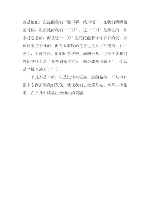 平凡中的发现作文700字.docx