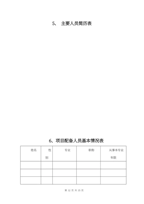 红色商务风标书word模板