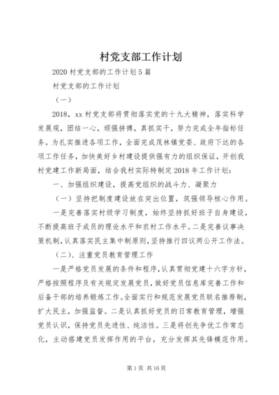 村党支部工作计划 (2).docx