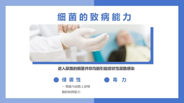 医疗风医疗泌尿系感染PPT模板