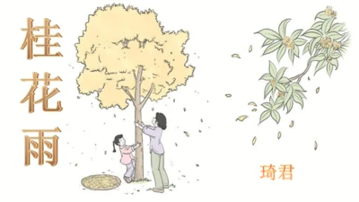3.桂花雨  课件