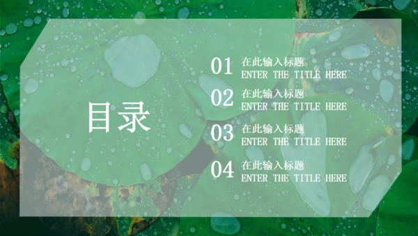 绿色荷叶大暑节气通用PPT模板