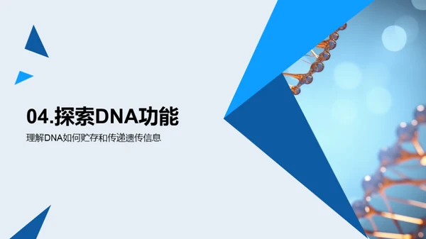 探秘生命之源——DNA