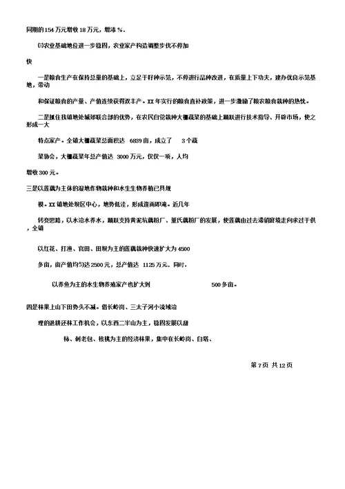 乡镇领导班子集体述职报告总结计划