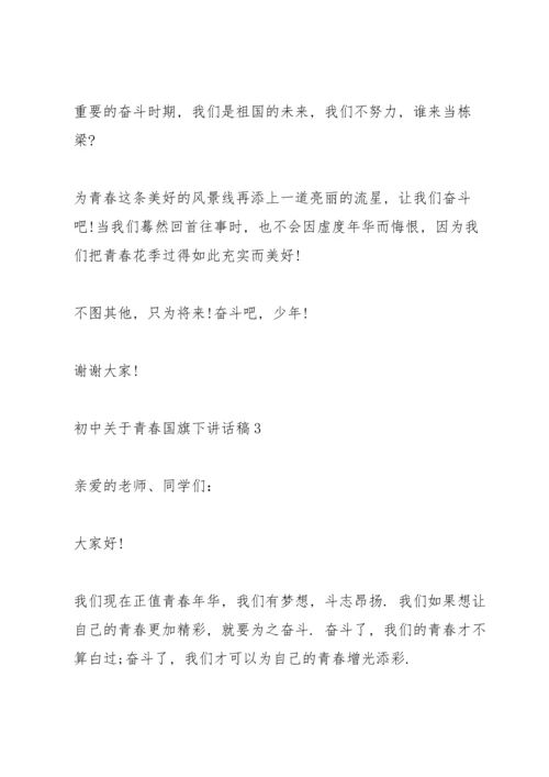 初中关于青春国旗下讲话稿范文10篇.docx