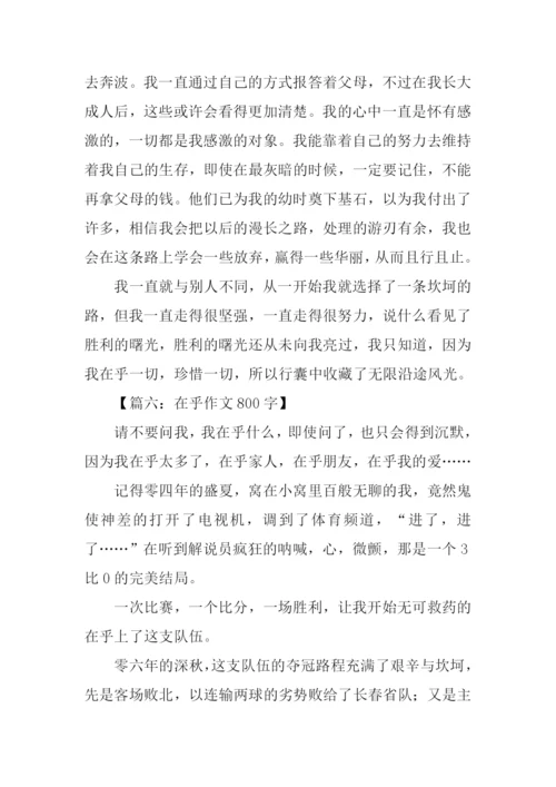 在乎作文800字0.docx