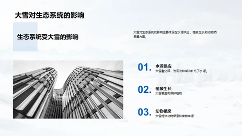 大雪的全方位解析