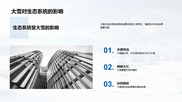 大雪的全方位解析