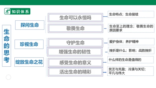 新课标七上第四单元生命的思考复习课件2023