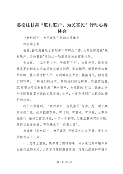 葛松柱甘肃“联村联户、为民富民”行动心得体会.docx