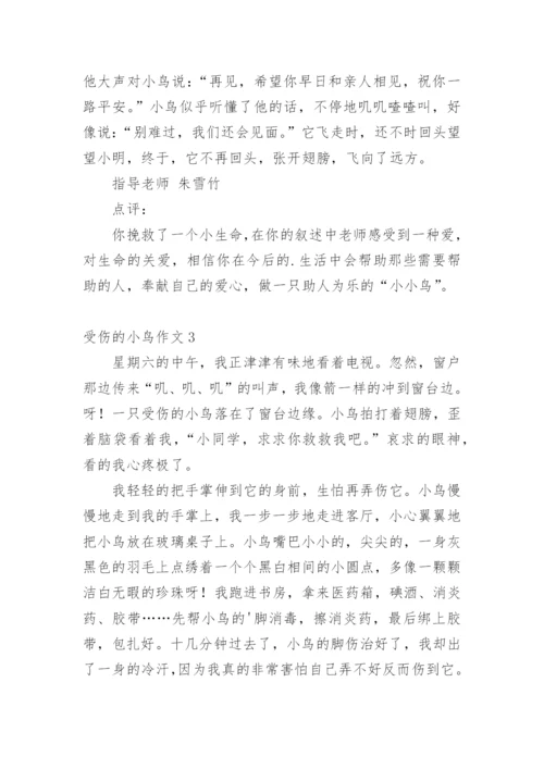 受伤的小鸟作文_18.docx