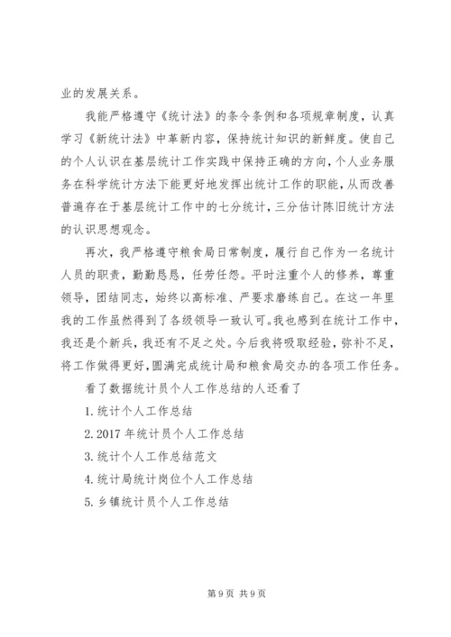 数据统计分析系统数据统计员个人工作总结与计划.docx