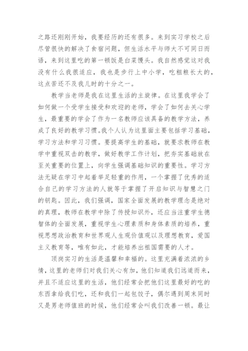 大学生的顶岗实习总结.docx