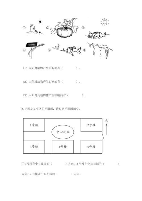 教科版二年级上册科学期末测试卷【考试直接用】.docx