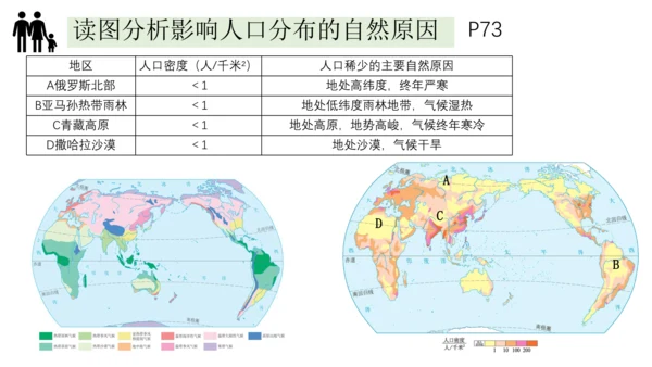 4.1人口与人种-2023-2024学年七年级地理上册同步优质课件（人教版）（共30张PPT）