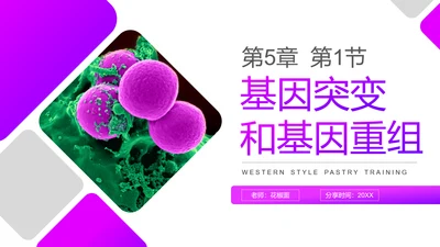 基因突变和基因重组初高中生物PPT课件