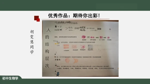 2.2.2 动物体的结构层次 课件（共24张PPT）