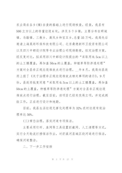 2022年全面推进乡村振兴工作述职报告.docx