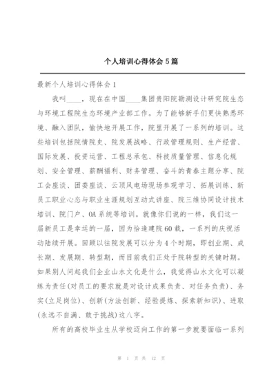 个人培训心得体会5篇.docx