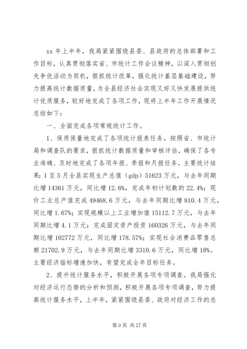 统计局XX年上半年工作总结及下半年工作计划 (2).docx