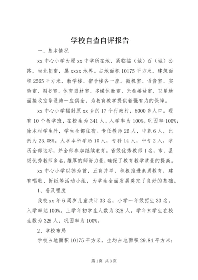 学校自查自评报告 (11).docx