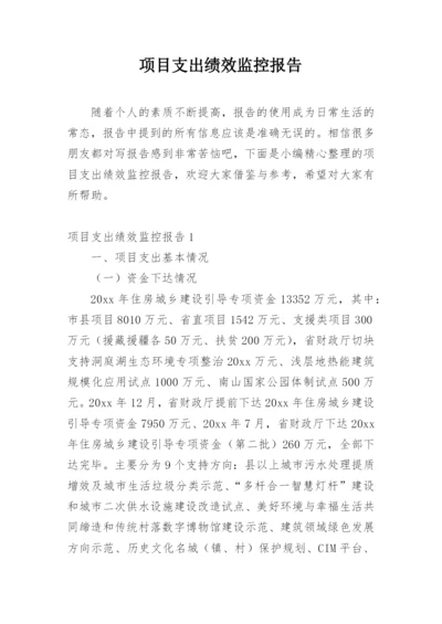 项目支出绩效监控报告.docx