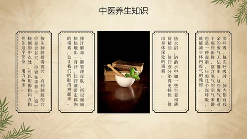 简约手绘中国风中医中药传统养护理普PPT模板