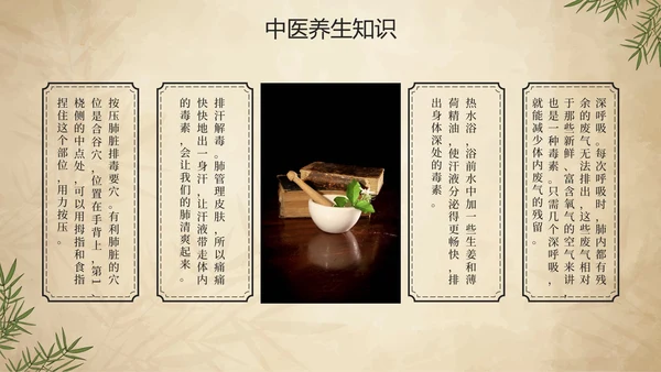简约手绘中国风中医中药传统养护理普PPT模板