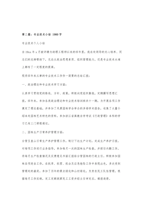 专业技术小结800字.docx