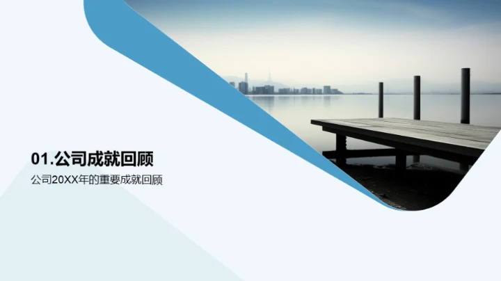 公司发展与行业未来